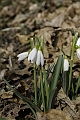 Resize of _MG_0776